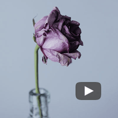 Qué es el amor – Alberto Fernández